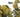 Micro data 7e21d4f3 fb91 480c b847 89f8673d9aa0