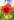 Micro data 9108677d e1f4 48d5 8ba8 b88fea6befb1