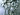 Micro data d1b89ea1 1fc9 457d 8bde de974d8ca2db